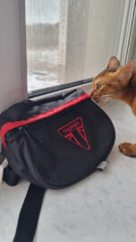 Triumph motorcycle logo patch